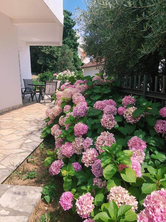 Apartments Hollaj Улцинь Экстерьер фото